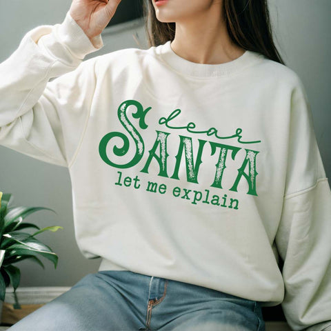 dBoldTees DTF Transfer DTF TRANSFER - Dear Santa Let Me Explain 5037
