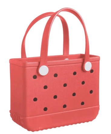 dBoldTees & DTF Transfers Mini Waterproof Bags - RR001 Watermelon