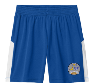 dBoldTees & DTF Transfers Banana Falcon Soccer Competitor Shorts ST103 - TS017