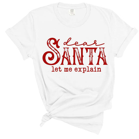 dBoldTees DTF Transfer DTF TRANSFER - Dear Santa Let Me Explain 5038