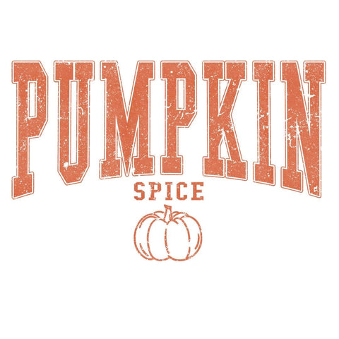 dBoldTees DTF Transfer DTF TRANSFER - Pumpkin Spice Distressed 7046