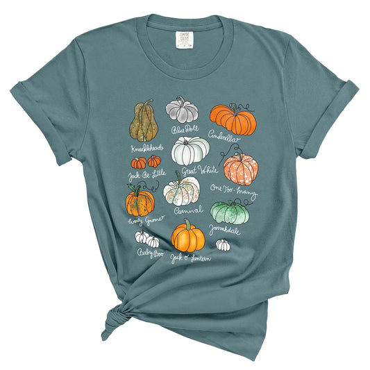 dBoldTees DTF Transfer DTF TRANSFER - Pumpkin Varieties 6027