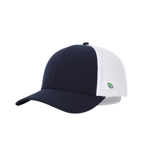 dBoldTees & DTF Transfers Rochester Rockets Snapback Hat - RR001