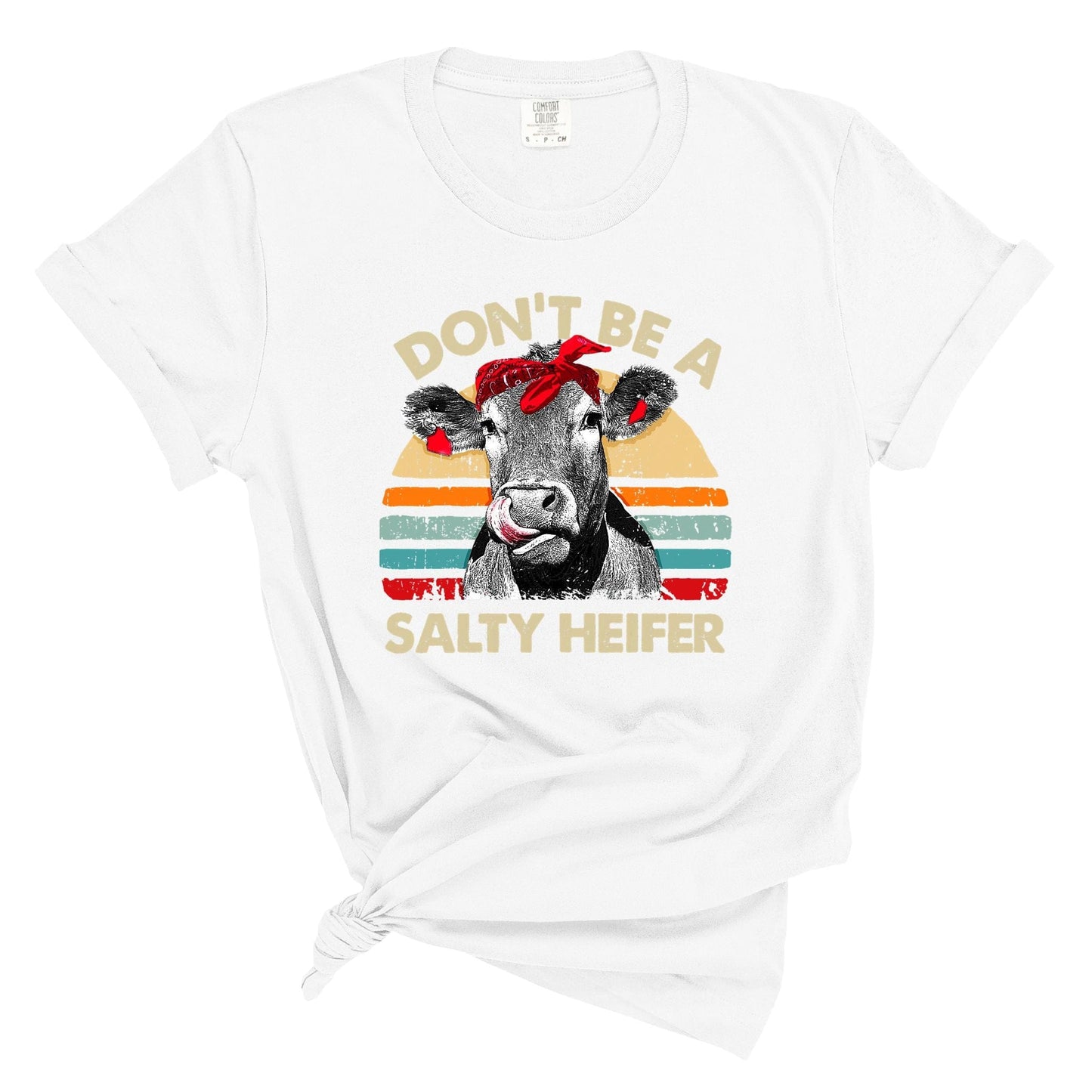 dBoldTees DTF Transfer DTF TRANSFER - 4042 Don't Be A Salty Heifer